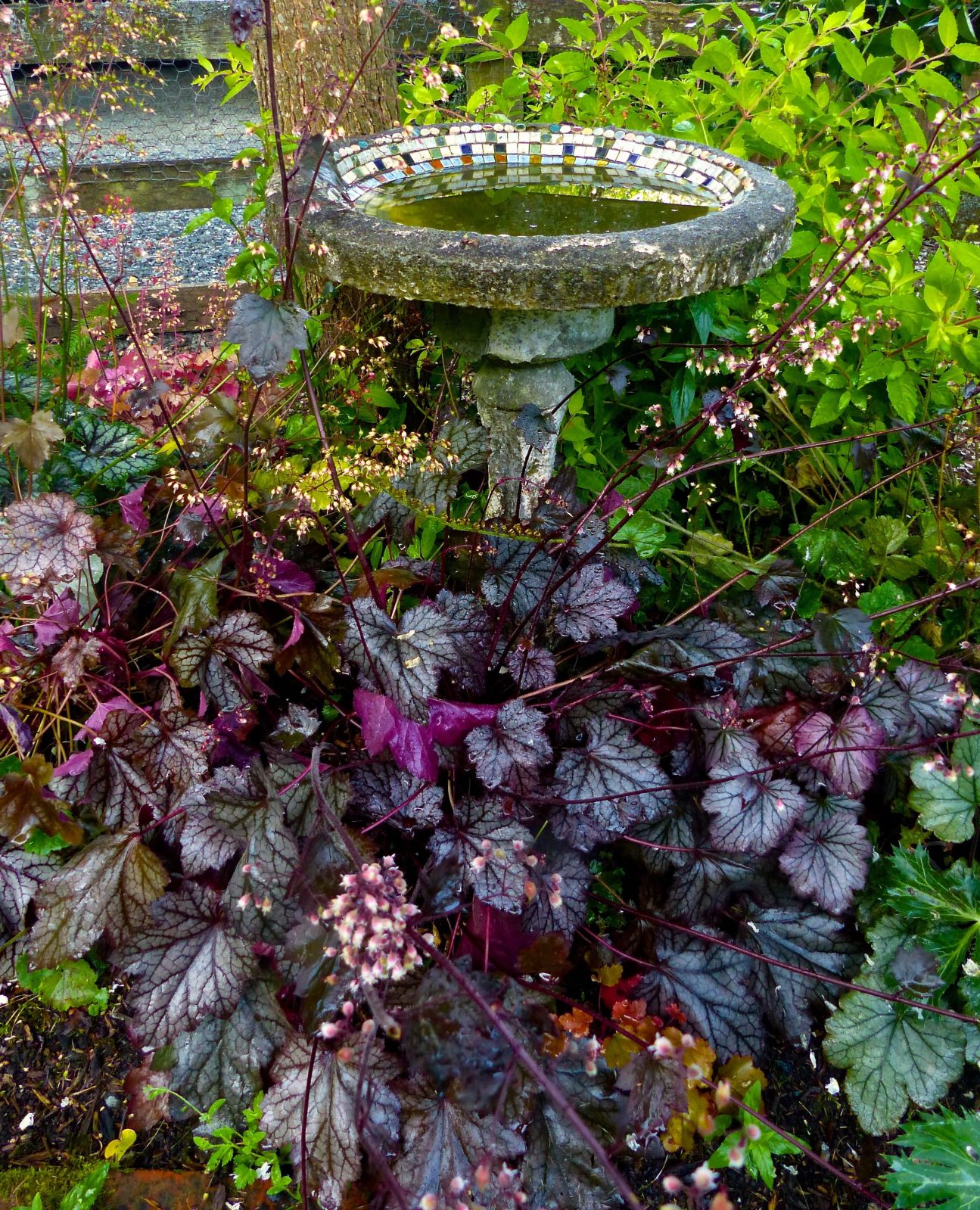 Gardening 2020 Plant Trends